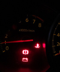 ��Щ�����˻��ܿ����� �ŵ�һ�ɽ�ζ