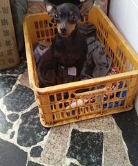 ����С¹Ȯ�Ŀ�������