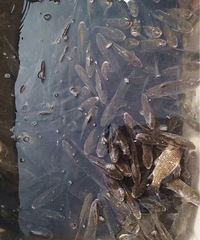 ���������ӿ쵽�ˣ��˳���ö���������������㰡