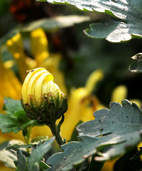 �羰������