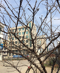 ����������.....���Լ��ֵ�ӣ��