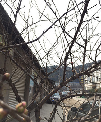 ����������.....���Լ��ֵ�ӣ��