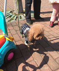 Ѱ����ʾ��5000Ѱ����