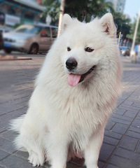 ��ĦҮ��Ѱ�ҹ�����