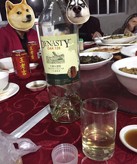 ���۸��᡿�����ں�ϲ�Ƶ���ٸ�צ��