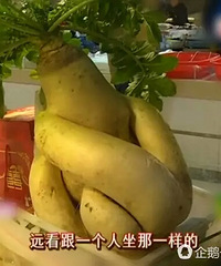 ̨��35�����δ��ܲ�