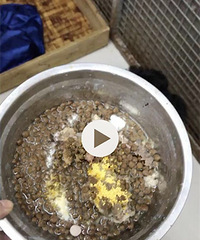 ������˫Ѫͳ�Թ���������������~