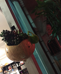 Ҭ�ӻ���ӹ���ϣ������ö�����ɫ