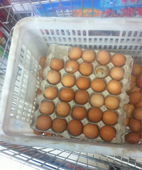 �����ϡ����ڵļ�����Ѽ�������˵�������ˣ�����Ϊ��������