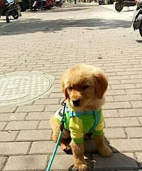 �ɰ���ëȮ�����˳�����