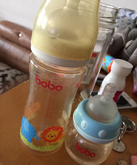 ��ƿ�����