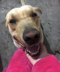 �������๷����������