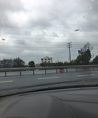 ���������·������̫ţ�ˣ�