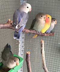 ������ĵ������