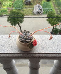 ���˴�ͼ����