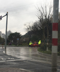 ���ޣ�С����ê����������������ǰ��æ�Ƴ�