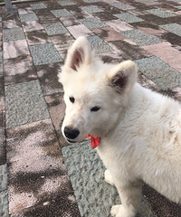 Ѱ����ʾ  ���������㽭̨���������򳡸�����ʧһֻ��ĦҮ