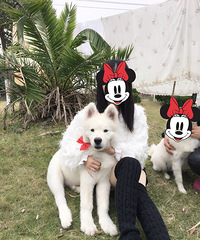 Ѱ����ʾ   �������㽭̨���������򳡸�����ʧһֻ��ĦҮ