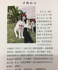 Ѱ����ʾ   �������㽭̨���������򳡸�����ʧһֻ��ĦҮ