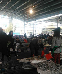 �����ϡ�������