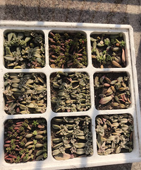 �Ҽ�����