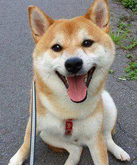 91��·���� 181cm �Ҳ��뿴��޸��������