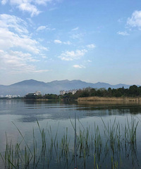 ��һ�������