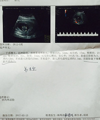 ��������ˮ�ݱ��������ռǡ�+�ɿ���������ռ�