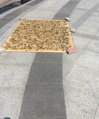 ���۸��ࡿ������ô�õ�̫������ɶ��