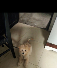 �ҹ����������˽���Ѱ����...