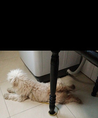 �ҹ����������˽���Ѱ����...