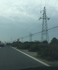 �����ϡ���Щ��֦�����Ӻ���