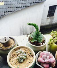 �簲���ҵ�С������