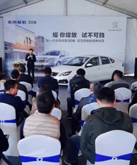 �������ȫϵ�γ����� Сʨ�Ӵ�����Ư��