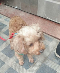 ˭�ұ������ˣ������ں�Ҽ񵽵ģ������ϵ