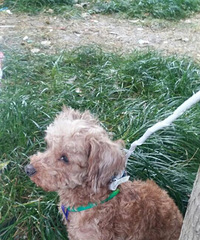 ˭�ұ������ˣ������ں�Ҽ񵽵ģ������ϵ