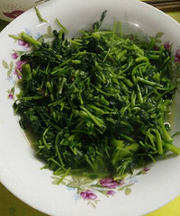 ���۸��᡿�컨����ô�ձȽϺóԣ�