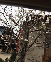 ���ſڵ�ӣ�ҿ����ˣ�����