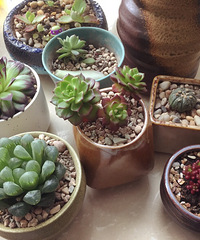 ϣ������ÿ�춼�����ա�