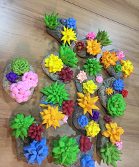 ճ�����⣬ѧ����Ʒ