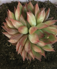 ��ҵ�������