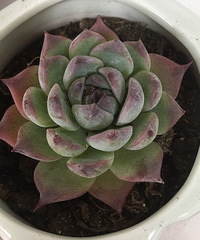 ��ҵ�������