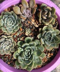 ����������µ��� ľ��̫������ ��֪���ܲ��ܻ���