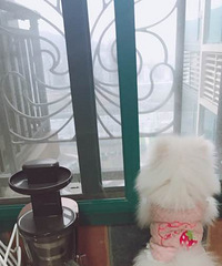 �����˲�����������̫Ƥ��ҧ�����ҽв�����