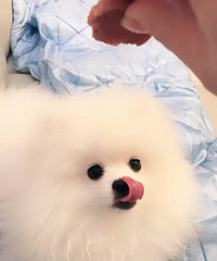 �����˲�����������̫Ƥ��ҧ�����ҽв�����