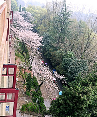 ��̩��ͥ7¥����138ƽë��165W���о����˵�