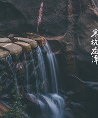 ������̶