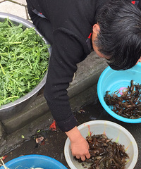 ���۸��ࡿ����Ϻ�ÿ�Ŷ������