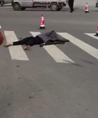 �����º����������綯���ֱ���Ҹɵ�