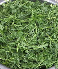 ���۸��ࡿ���࿪